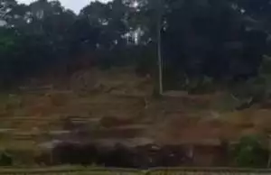 Gempa Sukabumi akibatkan longsor besar di Tasikmalaya