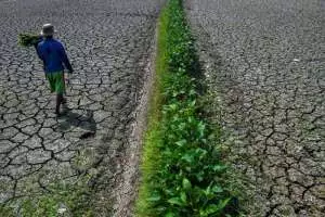 Kekeringan mengancam, BMKG: Saat ini El Nino masuk kategori kuat