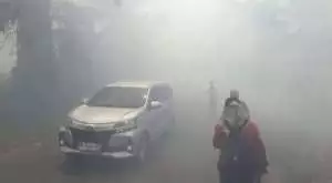 Kebakaran Hutan Blondo Gunungkidul, hampir 1 hektare lahan hangus