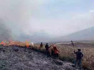 Korban Tewas Kecelakaan Maut Bus di Bromo jadi 7 orang, Ini Daftarnya