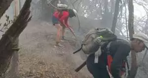 Kebakaran Gunung Gede Pangrango, petugas dan relawan terus siaga