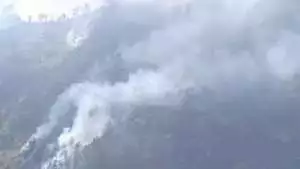 Kebakaran Bromo memasuki hari ke-8, api membesar di Puncak 30