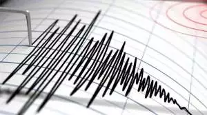 Pacitan diguncang gempa M4,4, getaran terasa hingga Malang