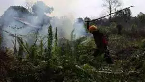 Titik panas karhutla naik, Menhut prioritaskan Kalbar dan Kalteng