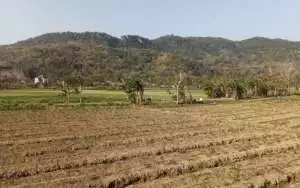 Status siaga darurat kekeringan di Gunungkidul diperpanjang