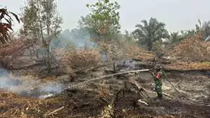 Dugaan Korupsi Proyek Infrastruktur Landak: Kejari Sudah Keluarkan Surat Panggilan, Tim Investigasi Maung Desak Proses Berjalan Terbuka dan Tuntas