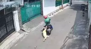 Banjir bandang terjang Tegal dan Pemalang, objek wisata Guci yang terparah