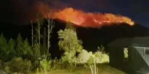 Masyarakat Kinali, Sumatera Barat, Tak Henti Memperjuangkan Hak Atas Tanah Mereka