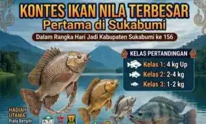 Kontes Ikan Nila Terbesar Pertama di Sukabumi Meriahkan HJKS ke-156