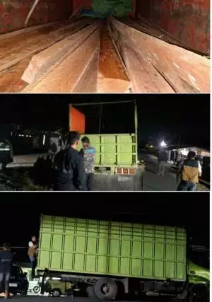 KPH Rongkong Berhasil Amankan Kayu Ilegal Dari Kecamatan Rongkong