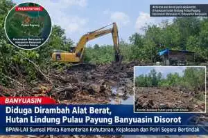 Diduga Dirambah Alat Berat, Hutan Lindung Pulau Payung Banyuasin Disorot