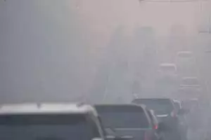 Karhutla di sejumlah kawasan pegunungan Jawa Timur makin meluas